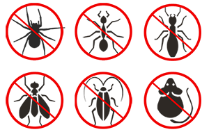 General Pest Control